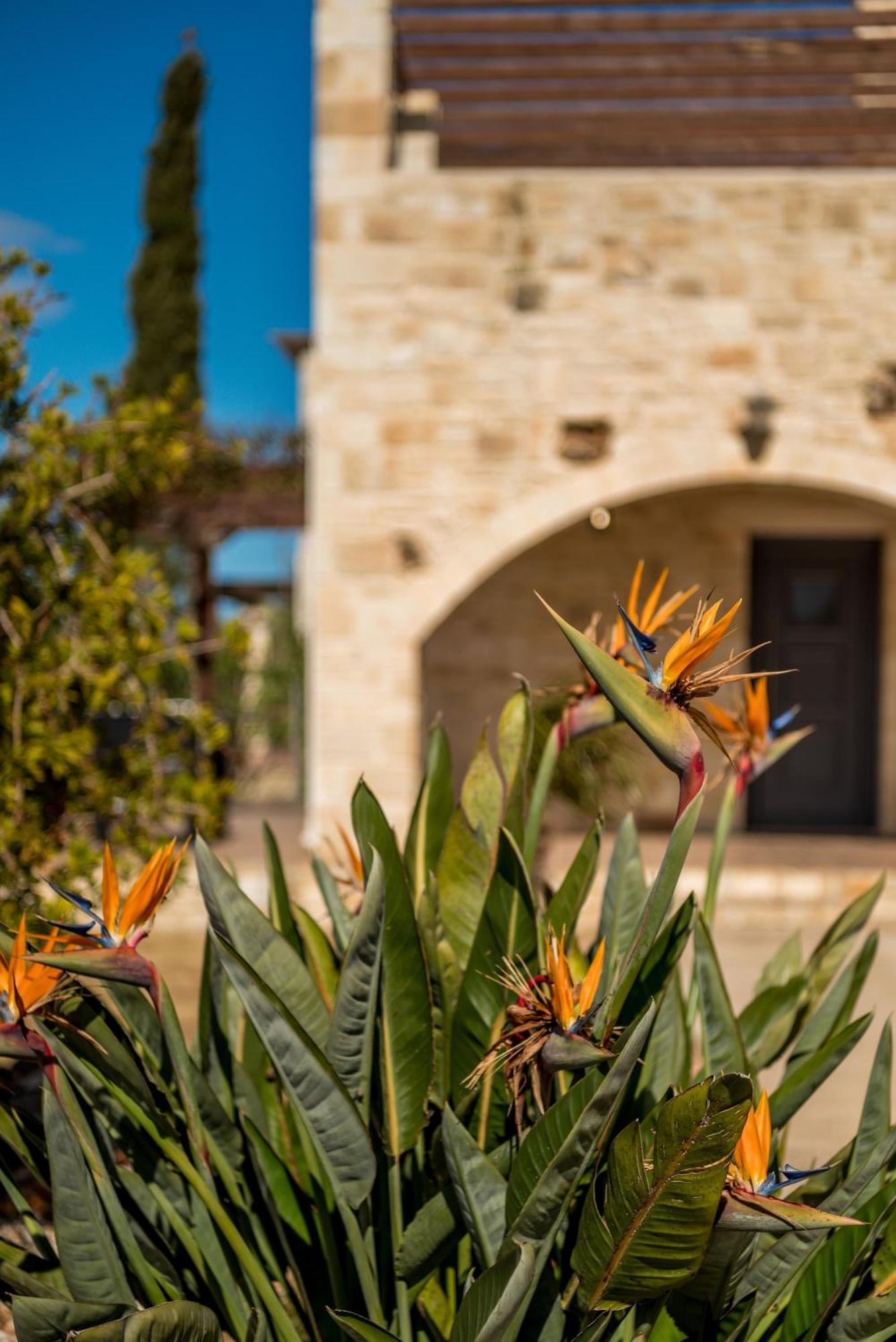 Villa Gloria Seaview - Luxury & Family Kokkino Chorio Extérieur photo